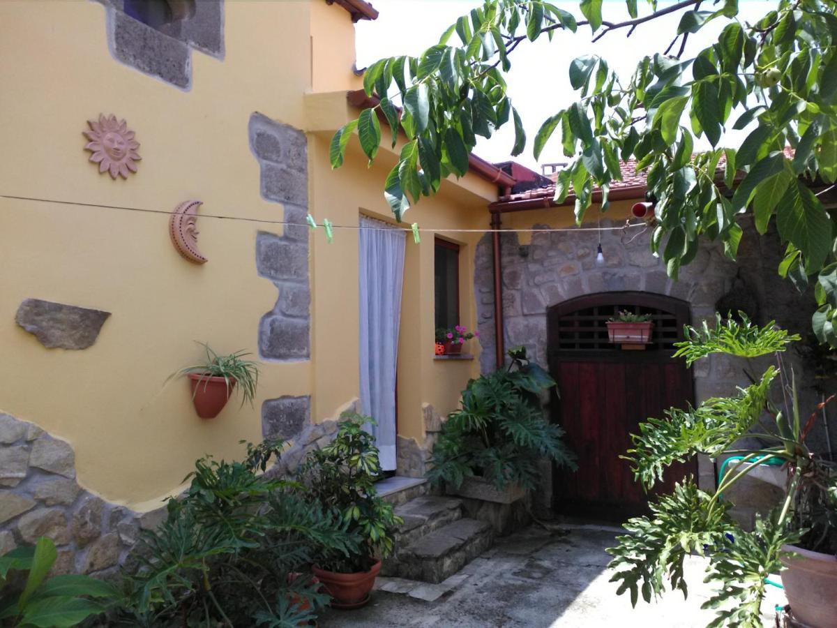 Anticacasaliori Bed & Breakfast Dolianova Luaran gambar